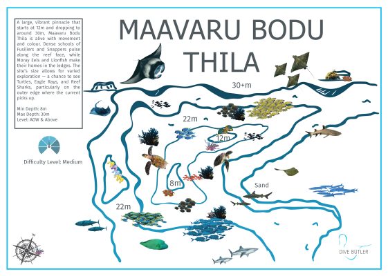 Dive Butler Finolhu Dive Sites_Maavaru Bodu Thila