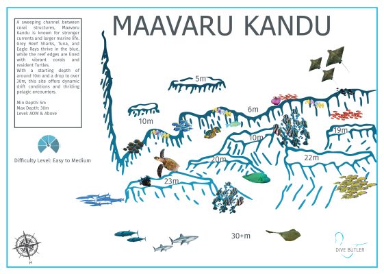 Dive Butler Finolhu Dive Sites_Maavaru Kandu