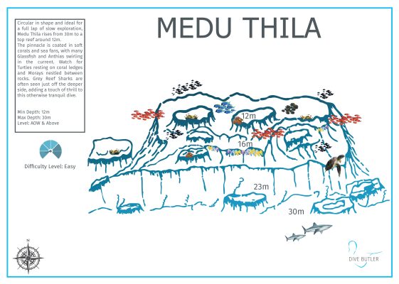 Dive Butler Finolhu Dive Sites_Medu Thila
