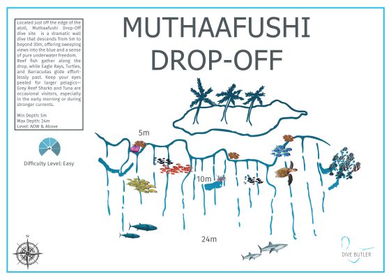 Dive Butler Finolhu Dive Sites_Muthaafushi Drop-Off