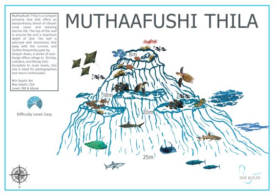 Dive Butler Finolhu Dive Sites_Muthaafushi Thila