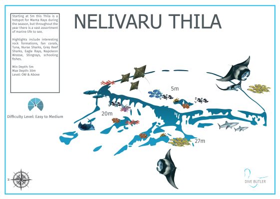 Dive Butler Finolhu Dive Sites_Nelivaru Thila
