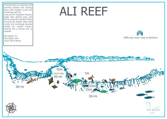Dive Butler Fari Islands Dive Site Maps_Ali Reef