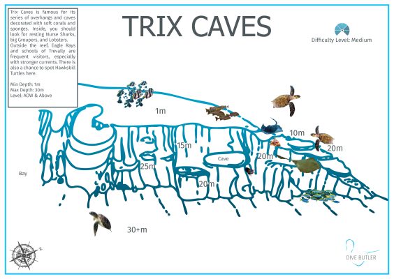 Dive Butler Fari Islands Dive Site Maps_Trix Caves