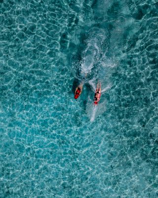 Dive Butler Seabob
