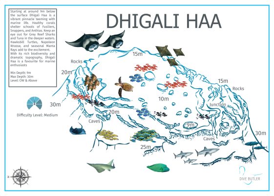 Dive Butler Amilla Dive Site Maps_Dhigali Haa