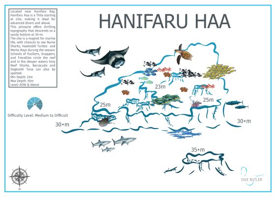 Dive Butler Amilla Dive Site Maps_Hanifaru Haa
