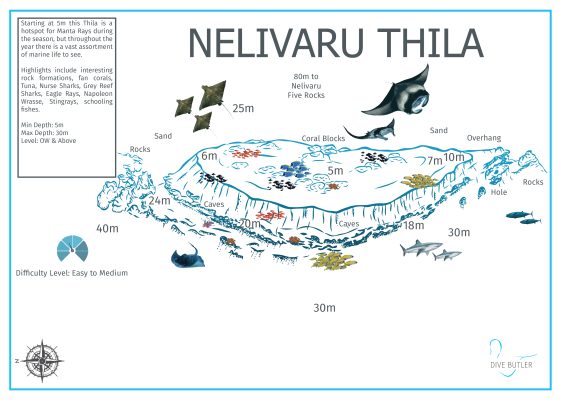 Dive Butler Amilla Dive Site Maps_Nelivaru Thila